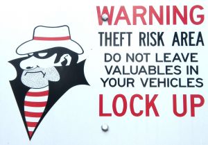 Theft Warning