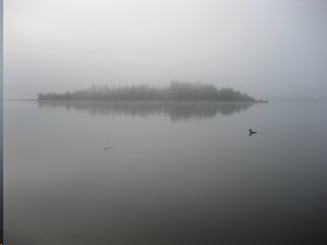 morning on lake